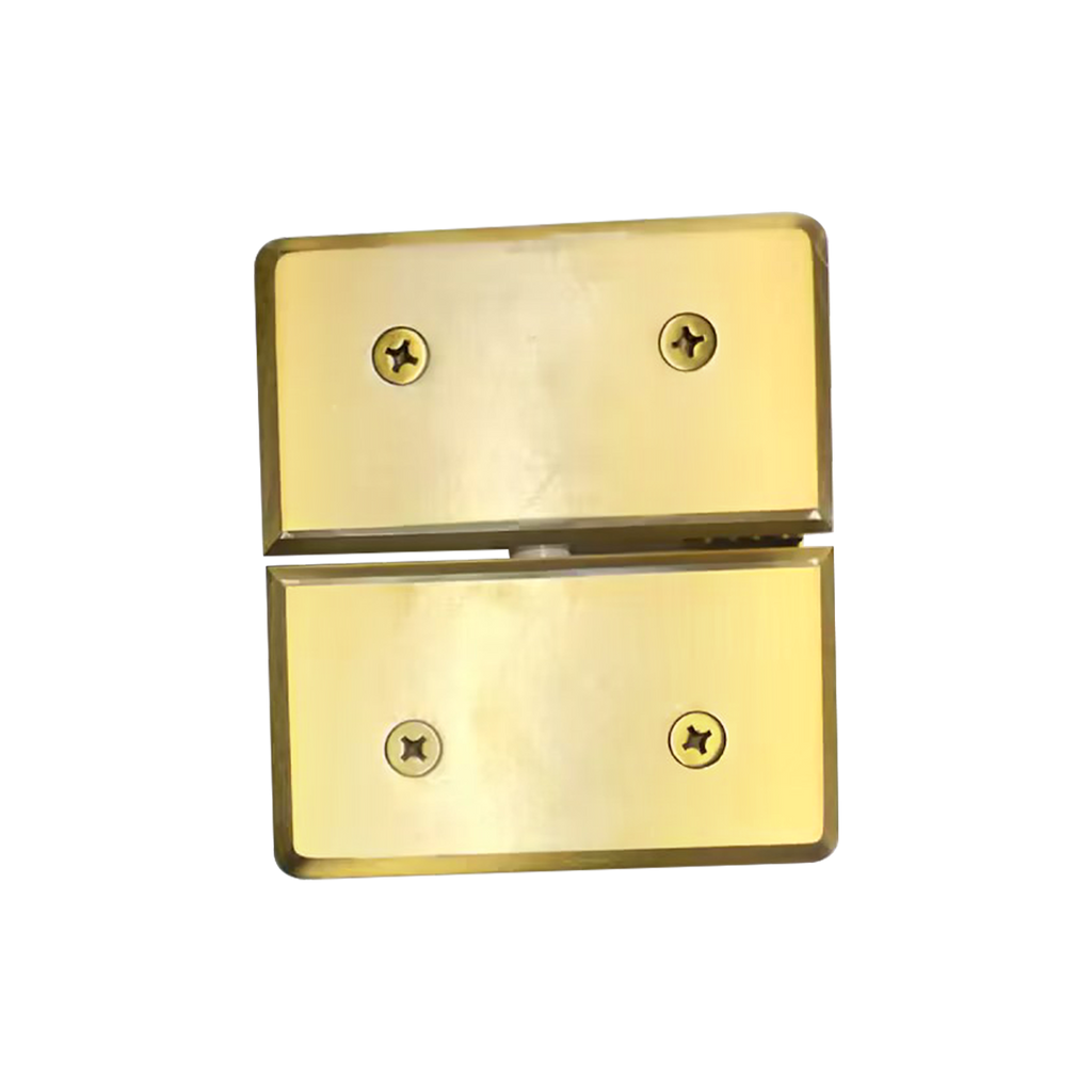 HEAVY DUTY GLASS-TO-GLASS MOUNT PIVOT HINGE (PLKH03)